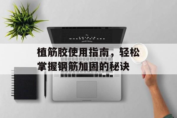 植筋胶使用指南，轻松掌握钢筋加固的秘诀