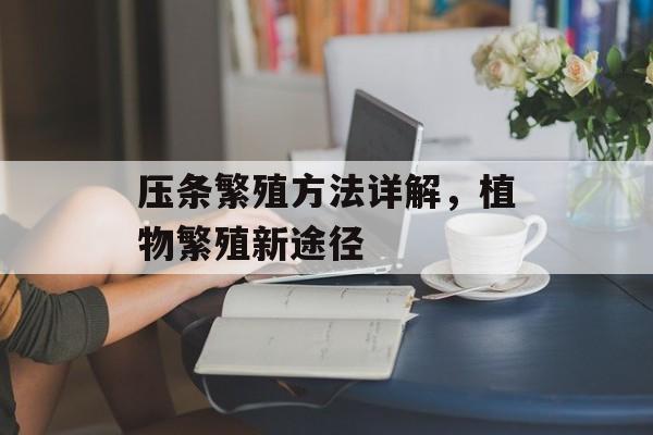 压条繁殖方法详解，植物繁殖新途径