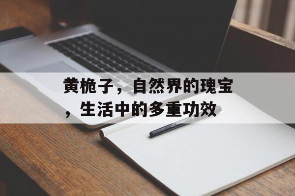 黄桅子，自然界的瑰宝，生活中的多重功效