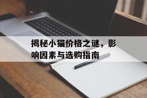 揭秘小猫价格之谜，影响因素与选购指南