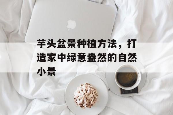 芋头盆景种植方法，打造家中绿意盎然的自然小景