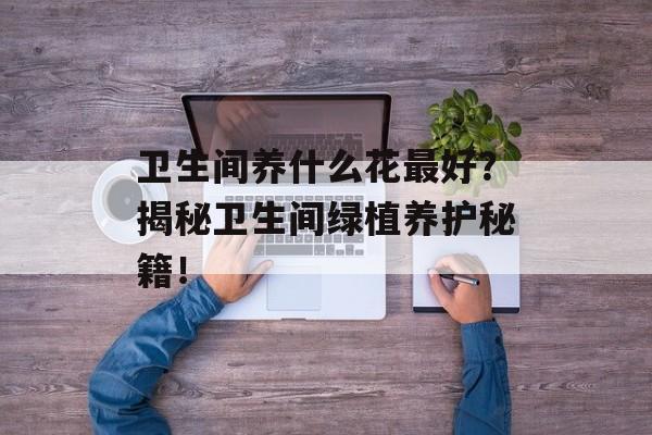 卫生间养什么花最好？揭秘卫生间绿植养护秘籍！