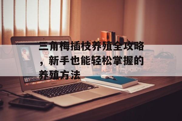 三角梅插枝养殖全攻略，新手也能轻松掌握的养殖方法