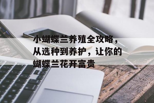 小蝴蝶兰养殖全攻略，从选种到养护，让你的蝴蝶兰花开富贵