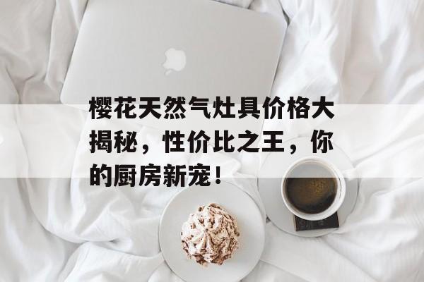 樱花天然气灶具价格大揭秘，性价比之王，你的厨房新宠！