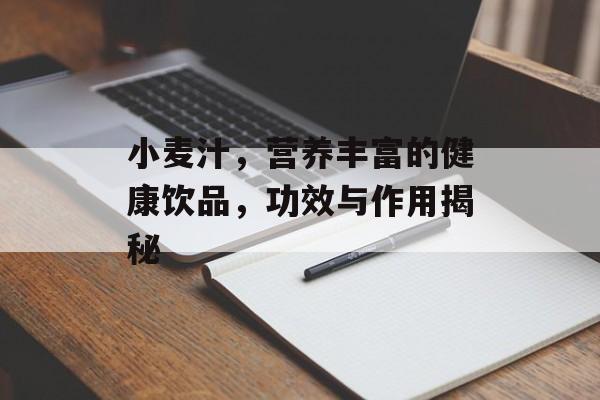 小麦汁，营养丰富的健康饮品，功效与作用揭秘