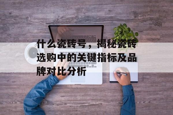 什么瓷砖号，揭秘瓷砖选购中的关键指标及品牌对比分析