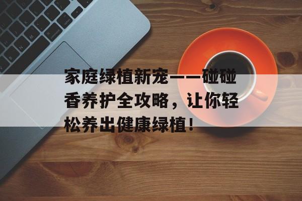 家庭绿植新宠——碰碰香养护全攻略，让你轻松养出健康绿植！