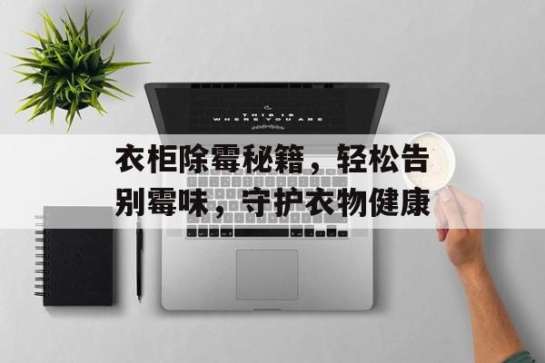 衣柜除霉秘籍，轻松告别霉味，守护衣物健康