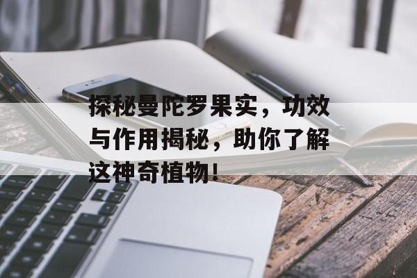探秘曼陀罗果实，功效与作用揭秘，助你了解这神奇植物！