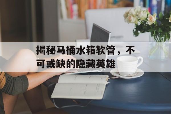 揭秘马桶水箱软管，不可或缺的隐藏英雄