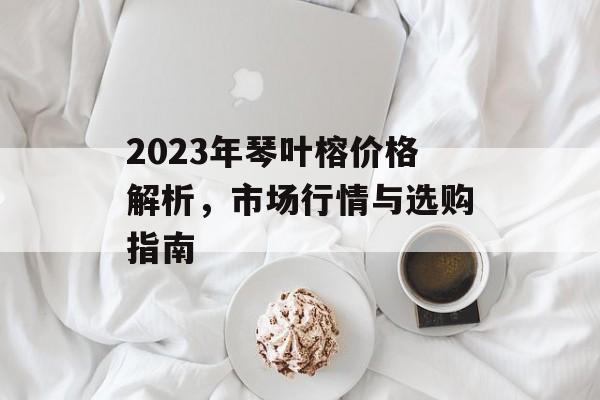 2023年琴叶榕价格解析，市场行情与选购指南