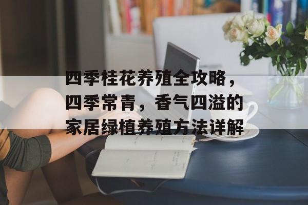 四季桂花养殖全攻略，四季常青，香气四溢的家居绿植养殖方法详解
