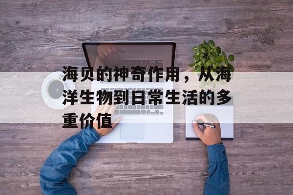 海贝的神奇作用，从海洋生物到日常生活的多重价值