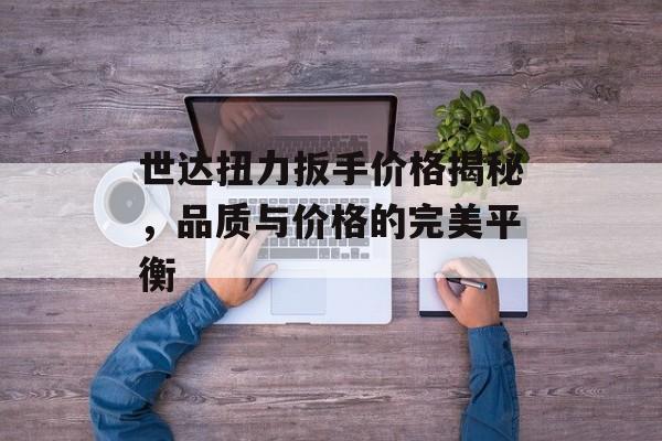 世达扭力扳手价格揭秘，品质与价格的完美平衡