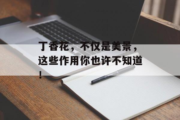 丁香花，不仅是美景，这些作用你也许不知道！