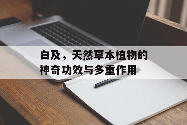白及，天然草本植物的神奇功效与多重作用
