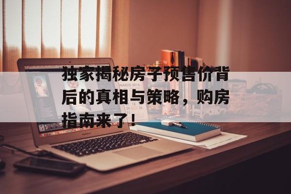 独家揭秘房子预售价背后的真相与策略，购房指南来了！