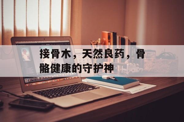 接骨木，天然良药，骨骼健康的守护神