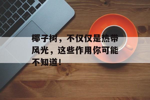 椰子树，不仅仅是热带风光，这些作用你可能不知道！