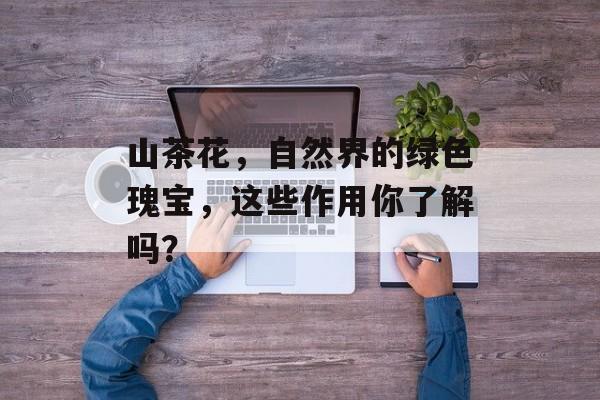 山茶花，自然界的绿色瑰宝，这些作用你了解吗？