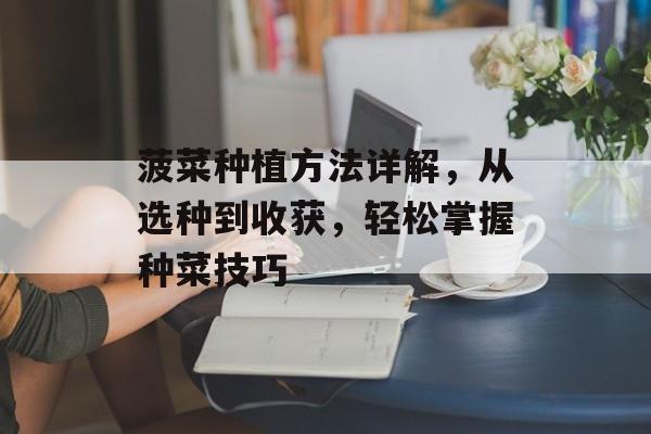 菠菜种植方法详解，从选种到收获，轻松掌握种菜技巧