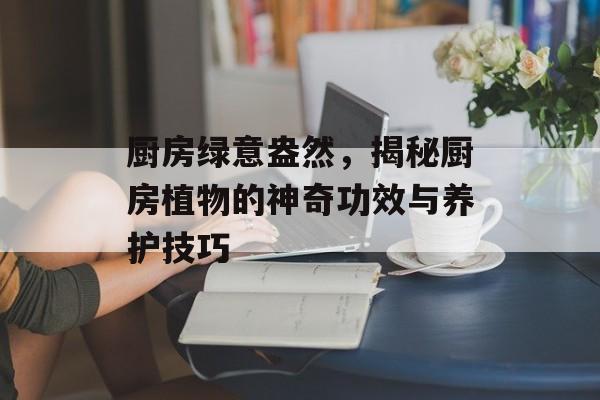 厨房绿意盎然，揭秘厨房植物的神奇功效与养护技巧