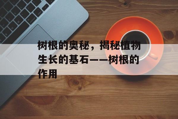 树根的奥秘，揭秘植物生长的基石——树根的作用