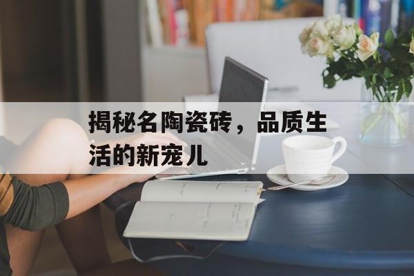 揭秘名陶瓷砖，品质生活的新宠儿