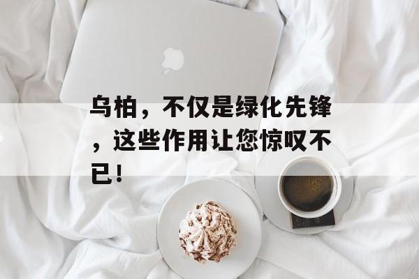 乌柏，不仅是绿化先锋，这些作用让您惊叹不已！