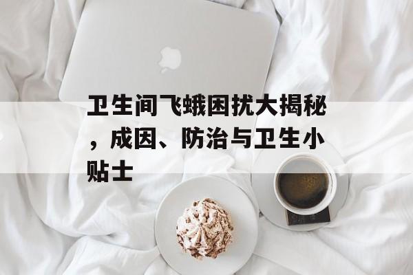 卫生间飞蛾困扰大揭秘，成因、防治与卫生小贴士