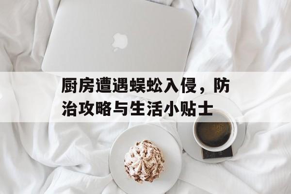 厨房遭遇蜈蚣入侵，防治攻略与生活小贴士