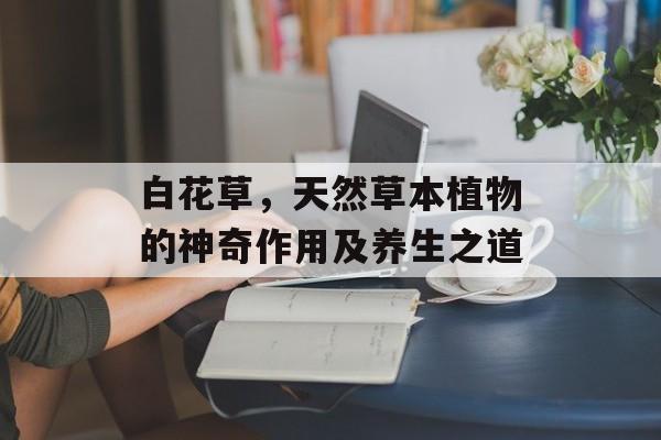 白花草，天然草本植物的神奇作用及养生之道