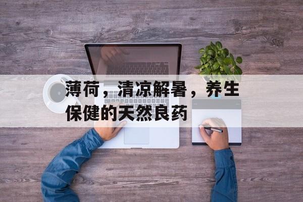 薄荷，清凉解暑，养生保健的天然良药