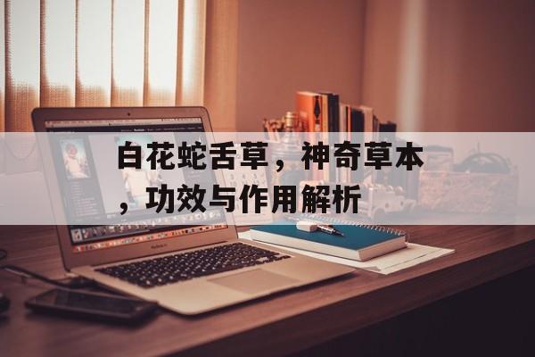 白花蛇舌草，神奇草本，功效与作用解析