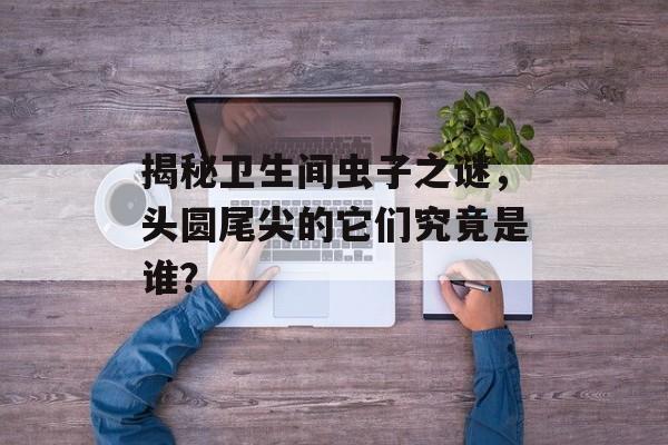 揭秘卫生间虫子之谜，头圆尾尖的它们究竟是谁？