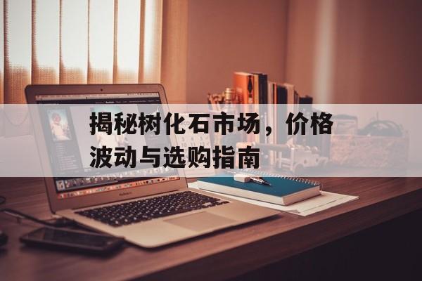 揭秘树化石市场，价格波动与选购指南