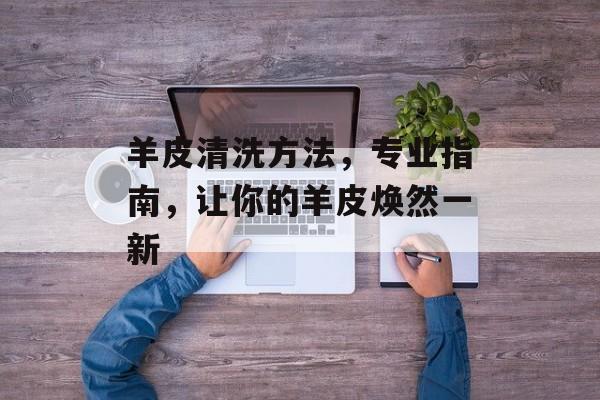 羊皮清洗方法，专业指南，让你的羊皮焕然一新