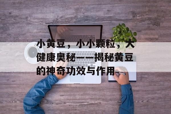 小黄豆，小小颗粒，大健康奥秘——揭秘黄豆的神奇功效与作用