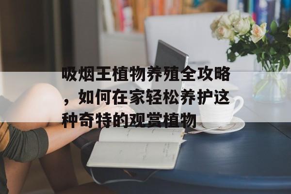 吸烟王植物养殖全攻略，如何在家轻松养护这种奇特的观赏植物