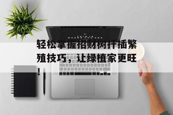 轻松掌握招财树扦插繁殖技巧，让绿植家更旺！