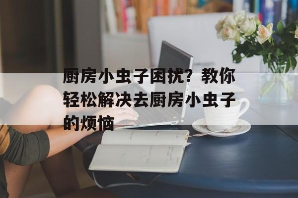 厨房小虫子困扰？教你轻松解决去厨房小虫子的烦恼
