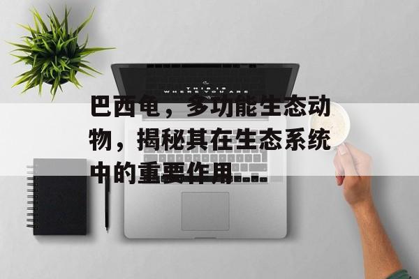 巴西龟，多功能生态动物，揭秘其在生态系统中的重要作用