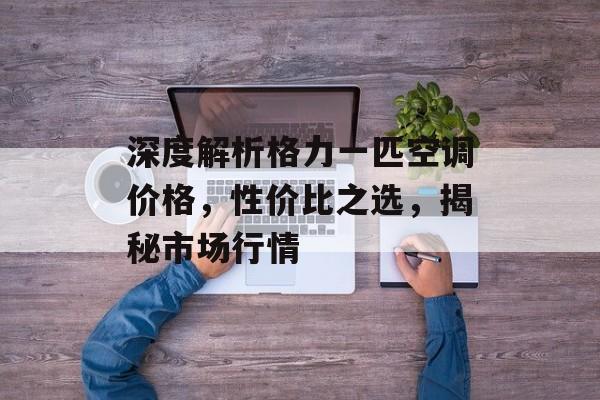 深度解析格力一匹空调价格，性价比之选，揭秘市场行情
