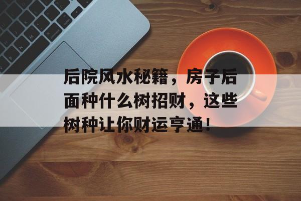 后院风水秘籍，房子后面种什么树招财，这些树种让你财运亨通！