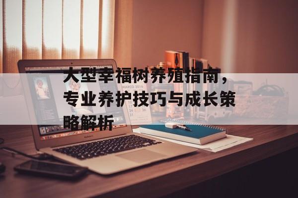 大型幸福树养殖指南，专业养护技巧与成长策略解析