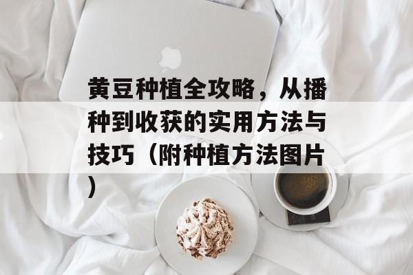 黄豆种植全攻略，从播种到收获的实用方法与技巧（附种植方法图片）