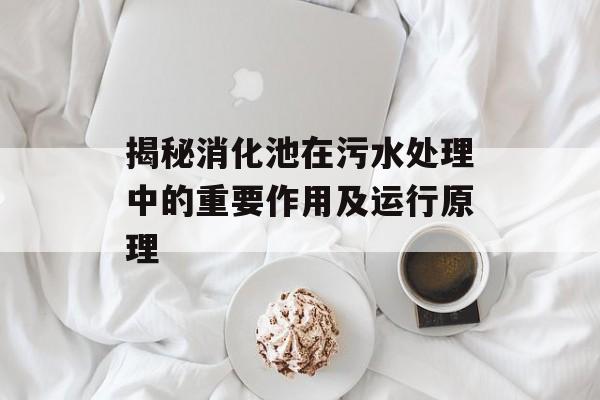 揭秘消化池在污水处理中的重要作用及运行原理