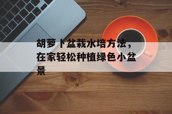 胡萝卜盆栽水培方法，在家轻松种植绿色小盆景