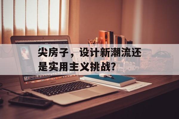 尖房子，设计新潮流还是实用主义挑战？